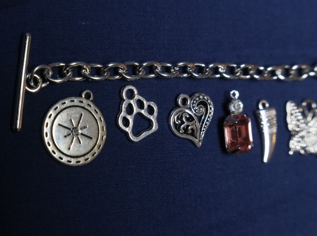 Animal Lover Charm Bracelet Making Kit (Silver)