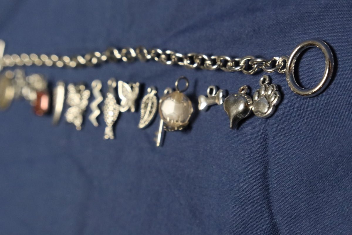 Animal Lover Charm Bracelet Making Kit (Silver)