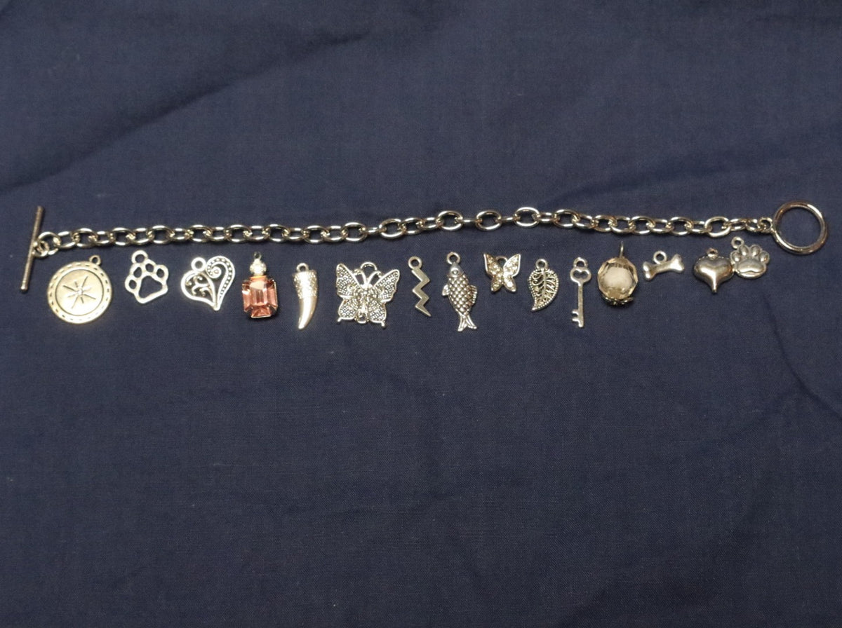 Animal Lover Charm Bracelet Making Kit (Silver)