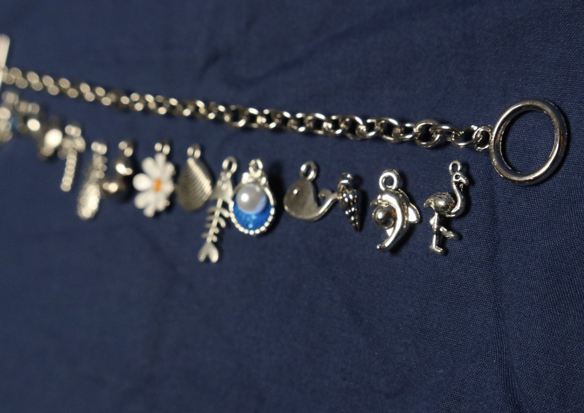Vitamin Sea Charm Bracelet Making Kit (Silver)