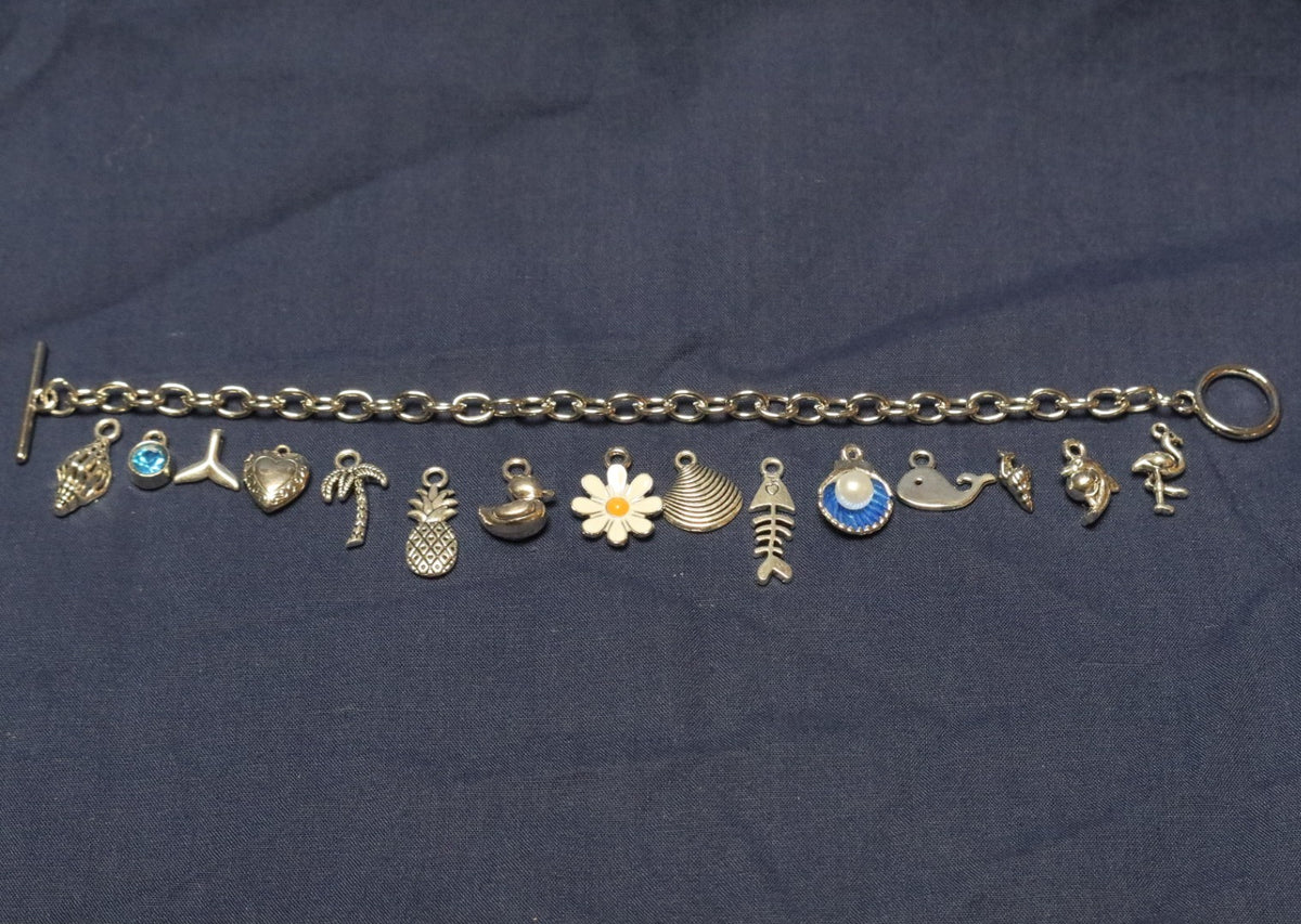 Vitamin Sea Charm Bracelet Making Kit (Silver)