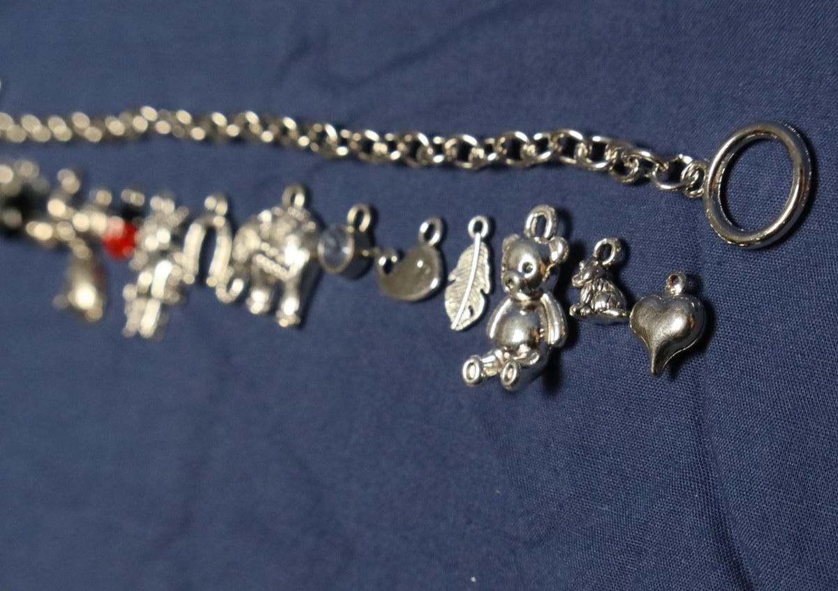 Animal Magic Charm Bracelet Making Kit (Silver)