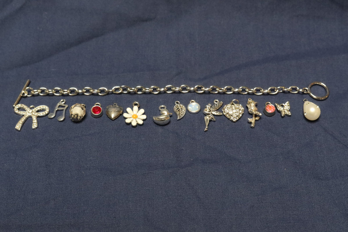 Daydream Believer Charm Bracelet Making Kit (Silver)
