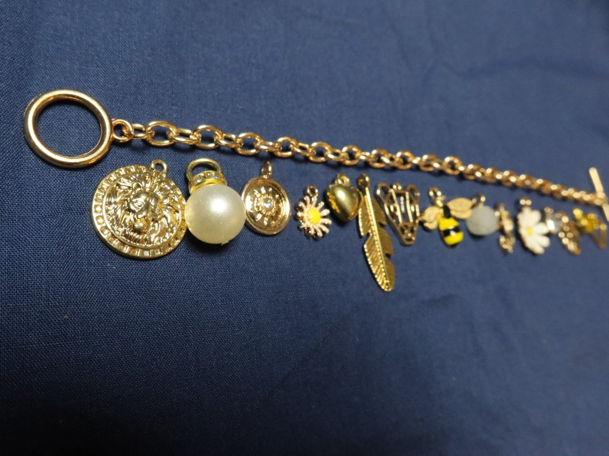 Wild At Heart Charm Bracelet Making Kit (Gold)