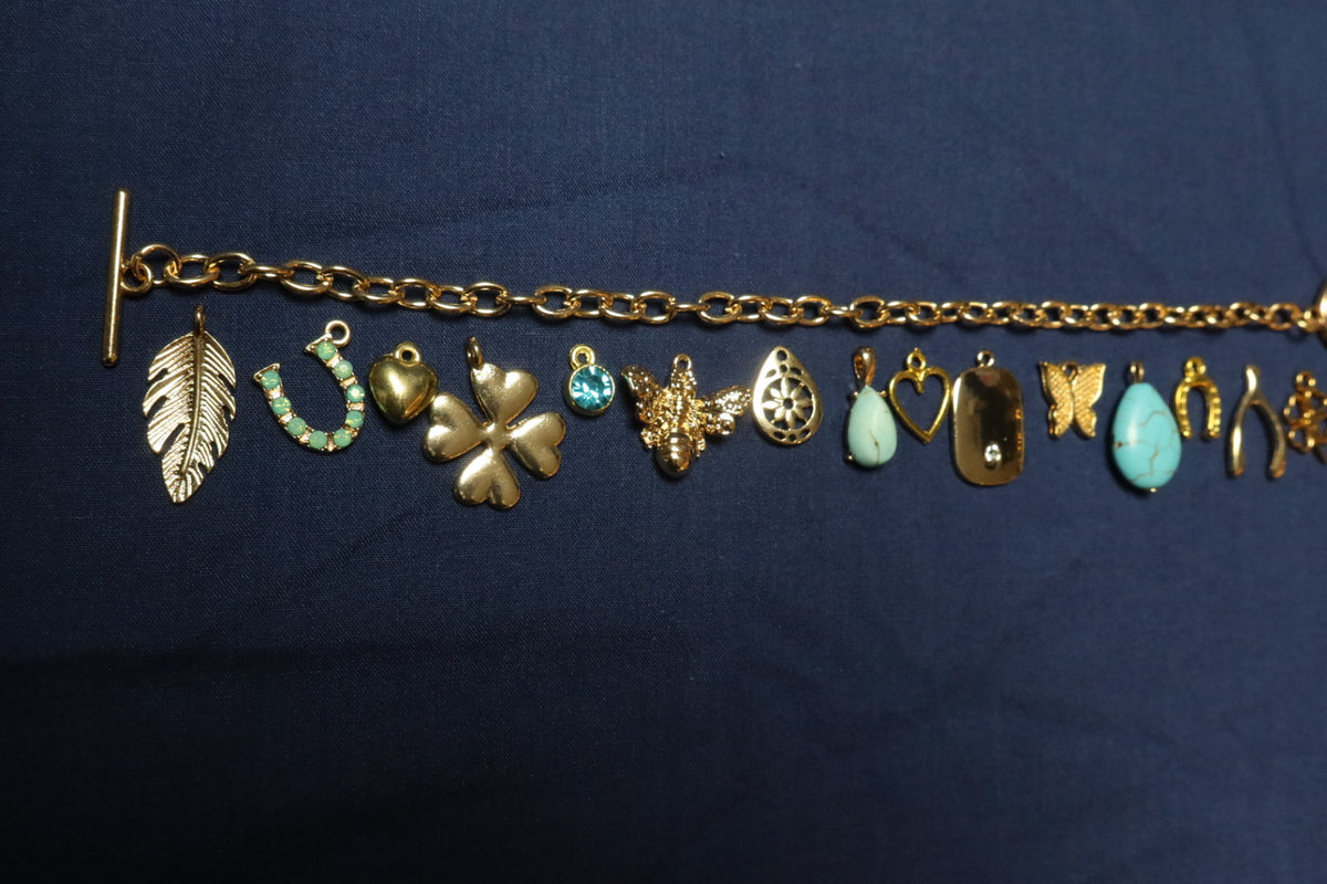 Lucky Charm, Charm Bracelet Making Kit (Gold)
