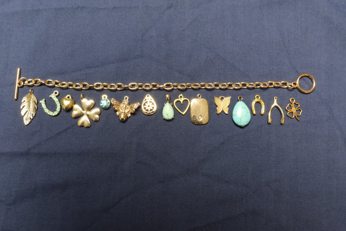 Lucky Charm, Charm Bracelet Making Kit (Gold)
