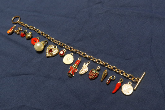 Red Spells Danger Charm Bracelet Making Kit (Gold)